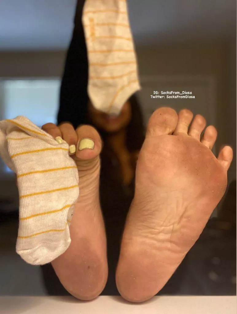 Yellow and White Disney Socks 🤍 posted by Socksfromdiosa