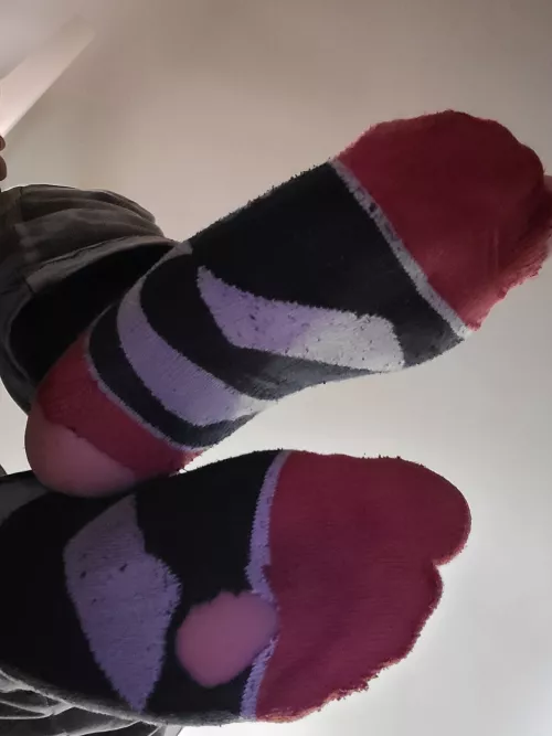 Yep. They stink. Yep. They are going on your face. by SmellyFootBoy