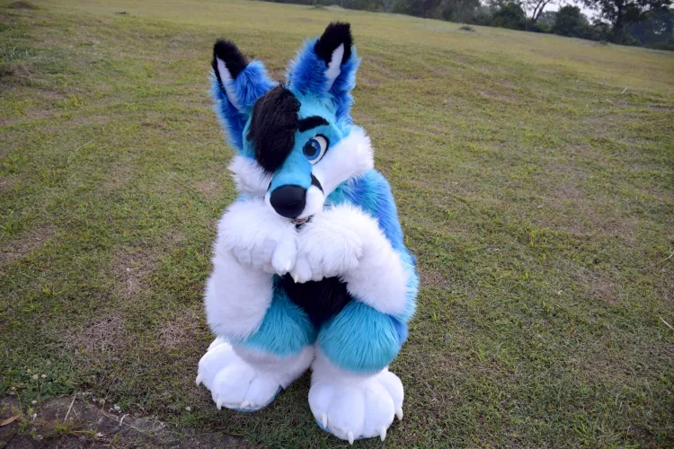 Yerf! What do you have for me? 🍇 or 🍫 maybe? by spiritofniter