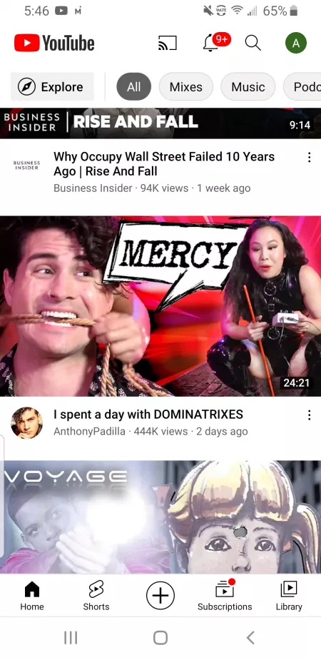 Yes Anthony! Good Boy! by CookWest1579