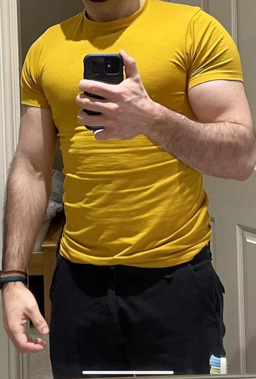 Yes or No posted by UnderstandingOk3379