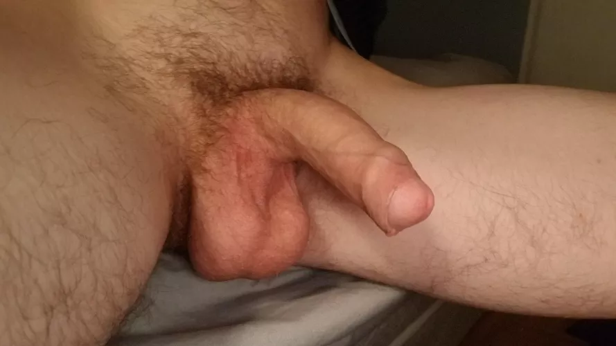 Yes or no by Choomba2045