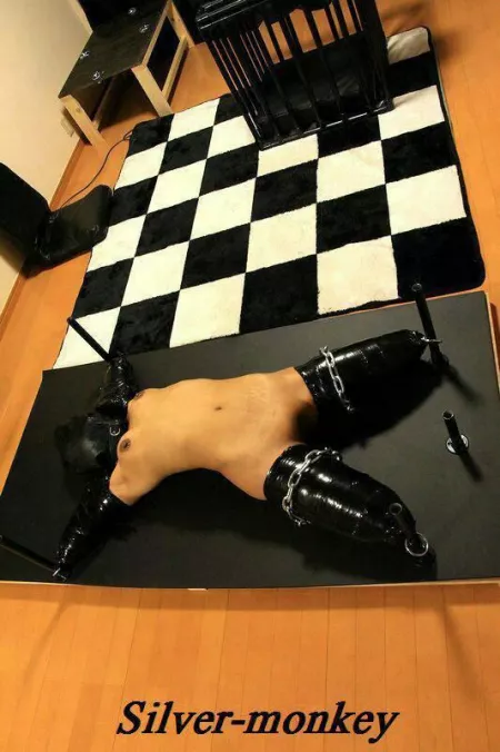 Yesterday I bought some new decoration for my house. It makes it some much better now by ahvel22