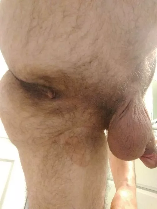 Yesterday's was received well, let's try a second post! by FLGuyTB813