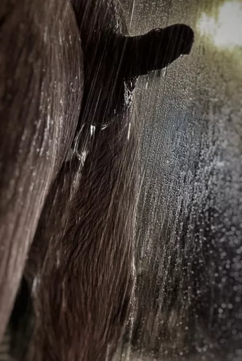 Yet another trip around the sun. The days are just drops passing by. by its_i-gor