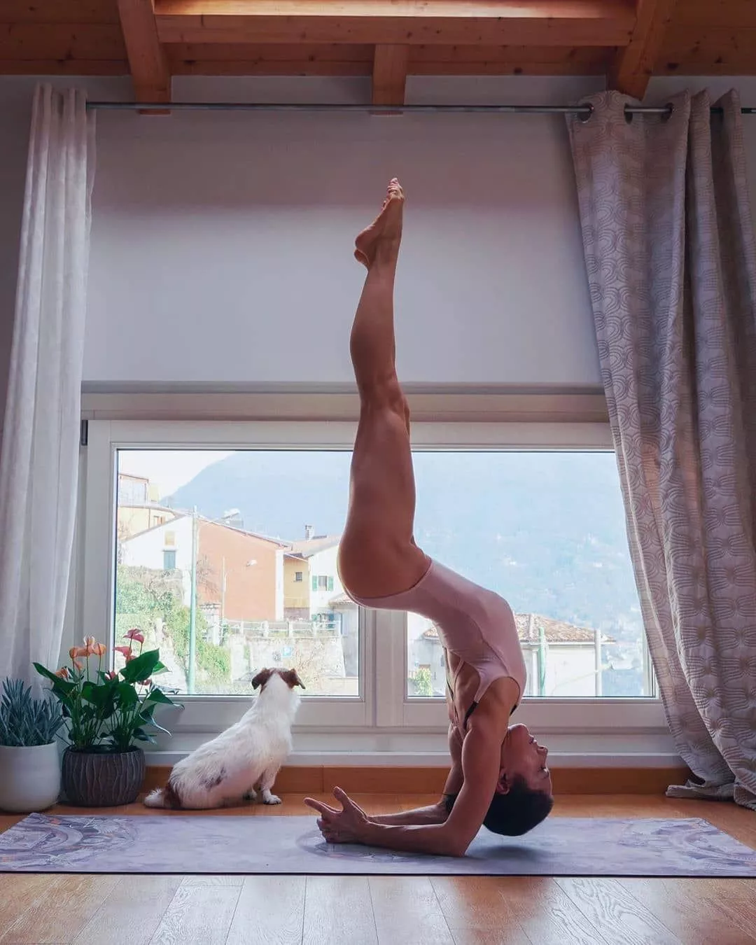 Yoga moves posted by altbubblr