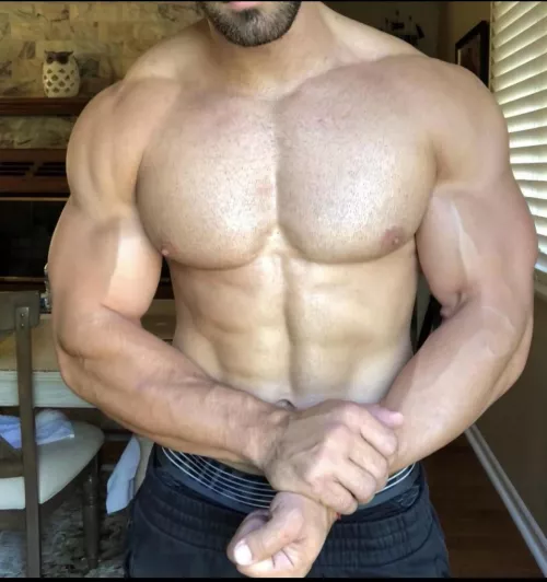 You already know who the champ is by thehungstallion