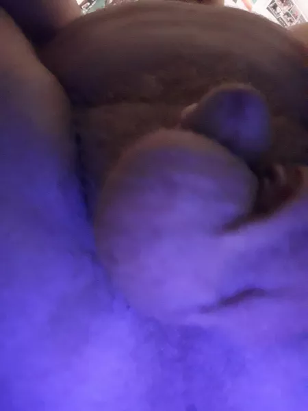 You are officially my Throne your breathing is now a privilege. All you'll be breathing is the error of my asshole and my crotch sweat. by gassymitch