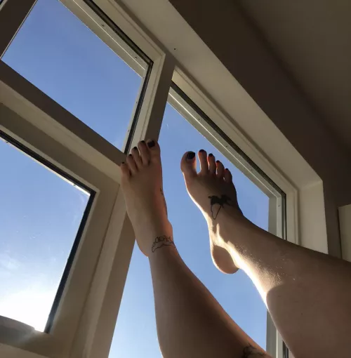 You are on a walk and see my size 13 soles through the window. What do you do? by slavicfeets