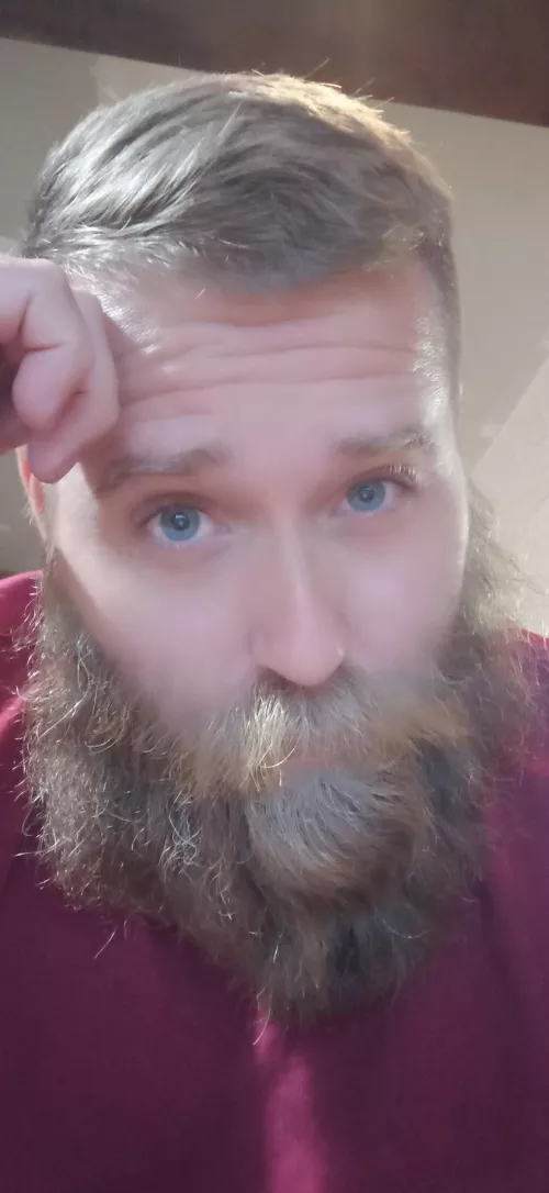 You bears are too hot for fucking words by lej84