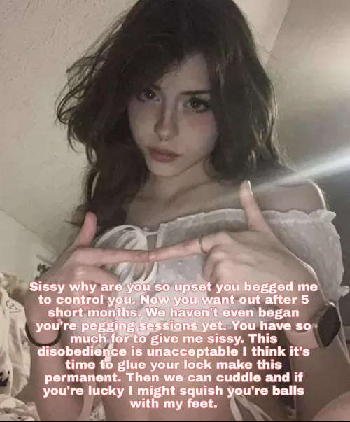 You begged by CapptionMaker