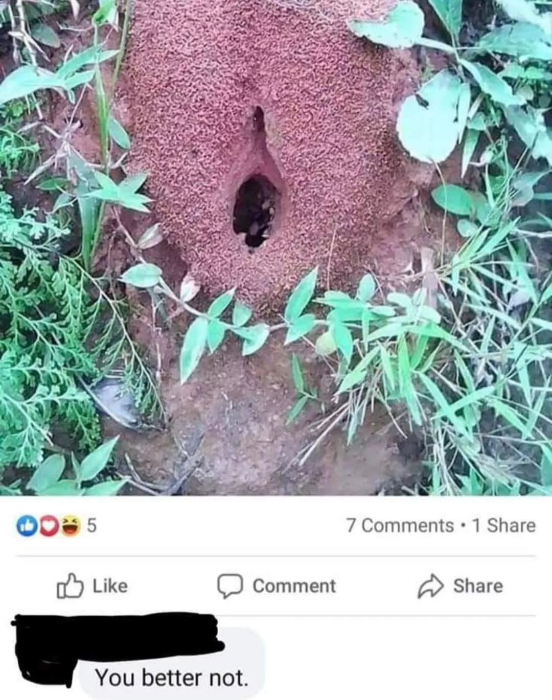 You better not indeed posted by Towlinha