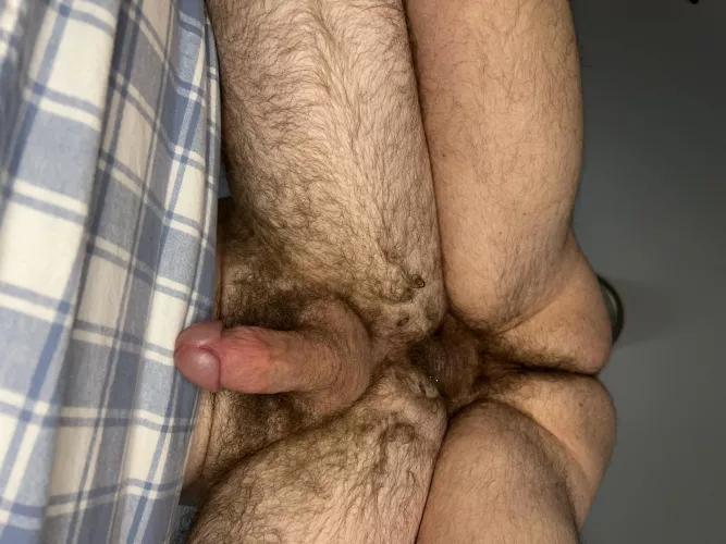 You can absolutely guarantee I left my load here 🐷 by Ok_Mammoth_2756