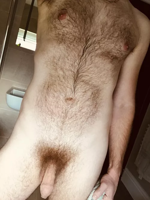 You can stroke me, I don’t bite…much by AllerixDominus