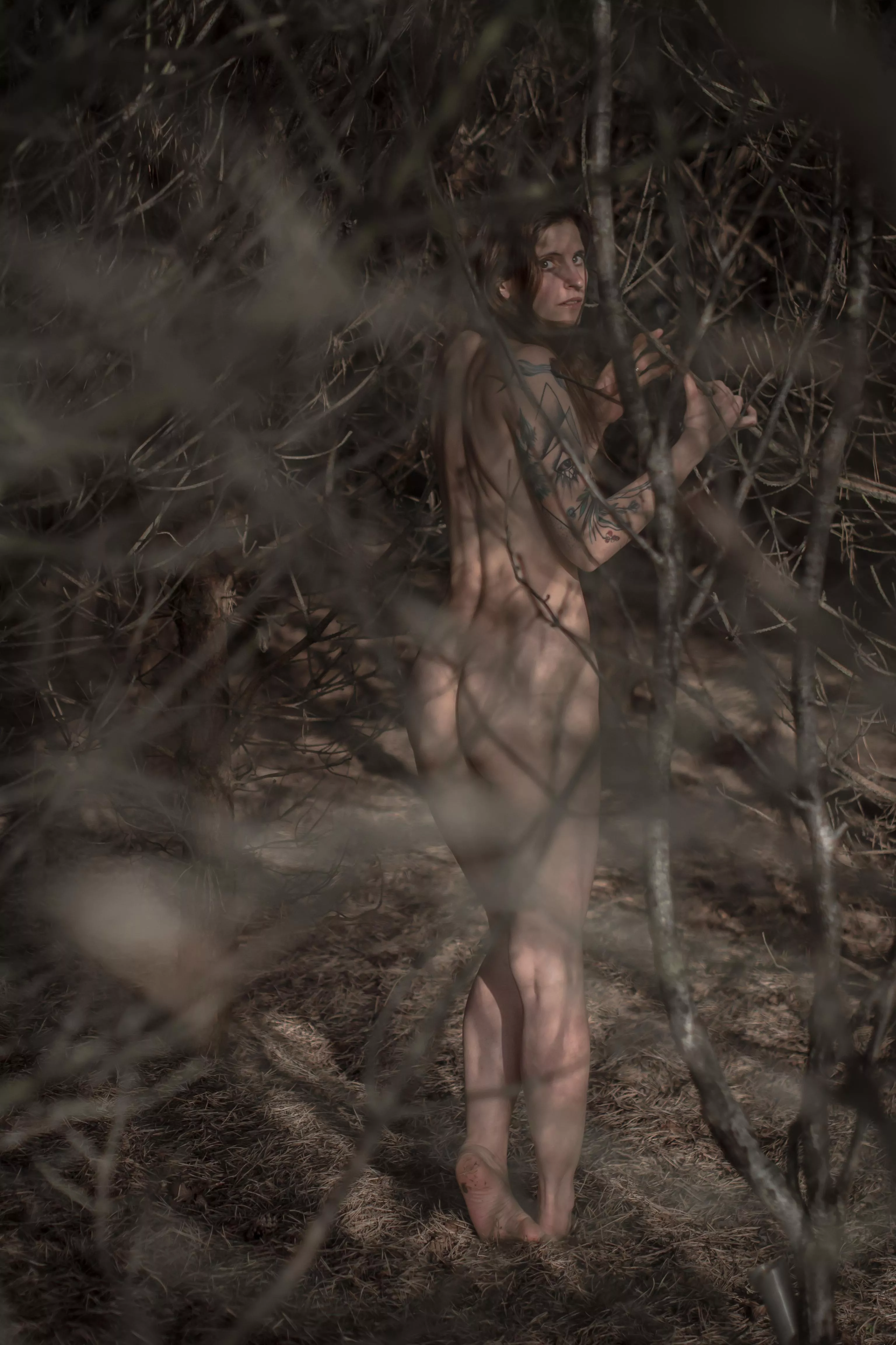 You catch her eye though the branches, they call you closer. posted by wegonaked