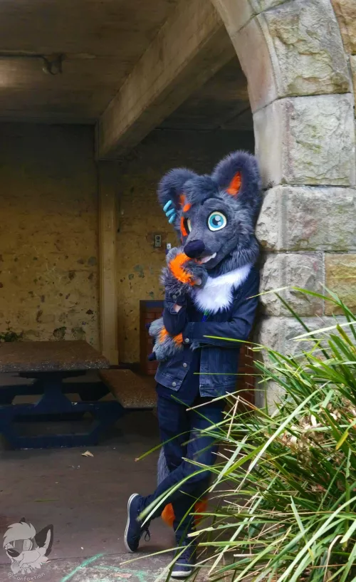 You come here often...? by CruiseTheDingo