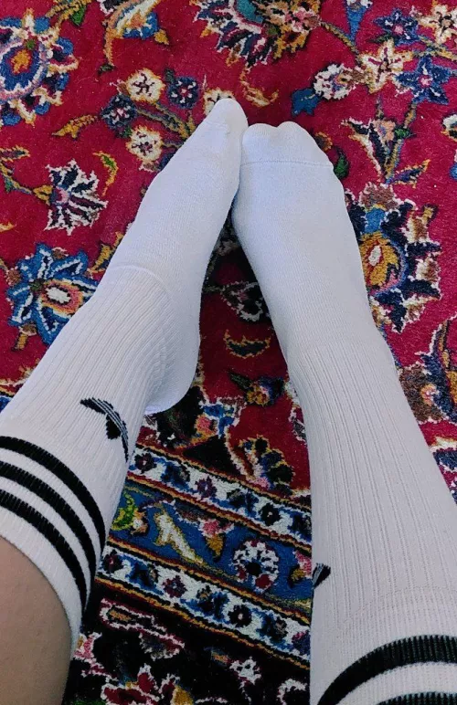 You don't deserve to just take a sniff of my socks, let alone feel them. by GoddessDhalia