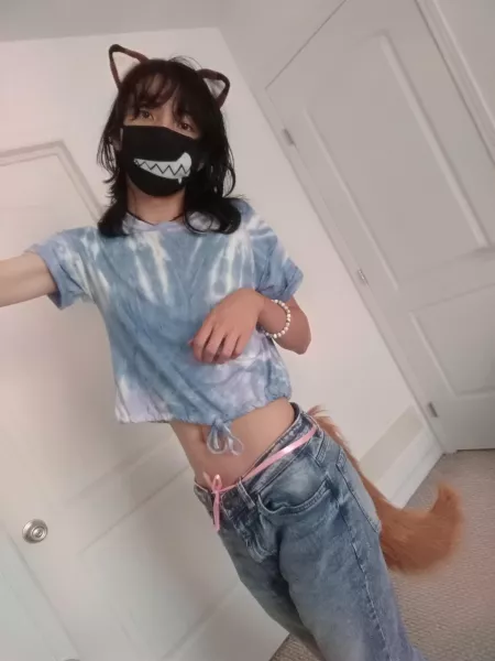 you encounter a fox, what will you do? by SkepticOwlz