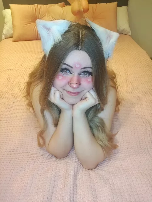 You got a kitten for valentines yet? 💗💗 by PleasurePetElle