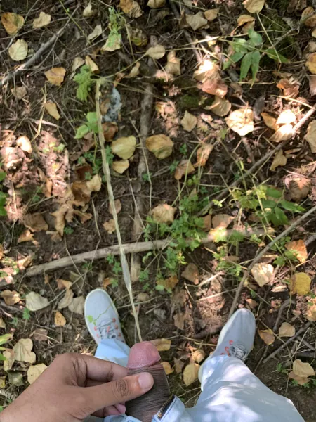 You gotta go when you gotta go by solex1069