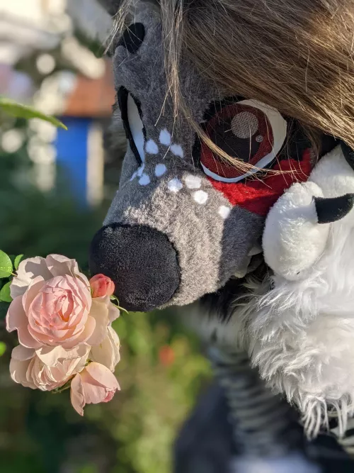 You Kinda Smell 👃 Like A Baka 🙆‍♂️ ✨Eren Yeager✨ by VampyBooXO