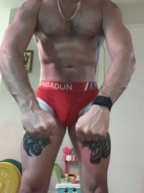 You know you need a bull by TripleDDDuo