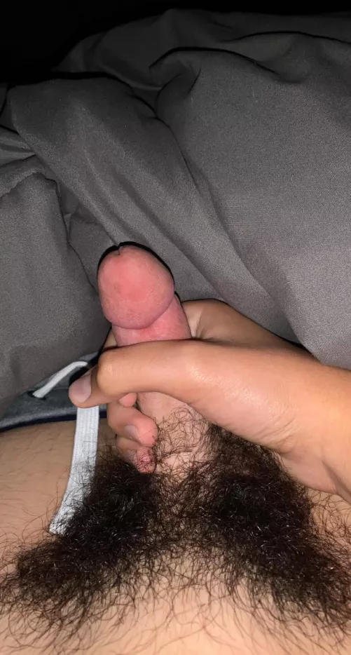 You like? by tommybo5