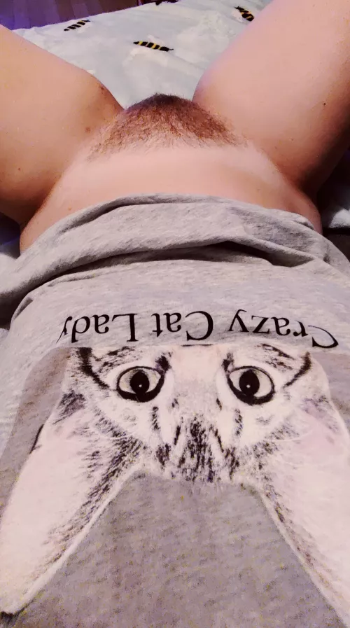 You like my 😺? ✨💖🪴 by -MrsRosa-