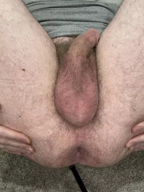 You like my hairy hole? by Impressive_Strike_88