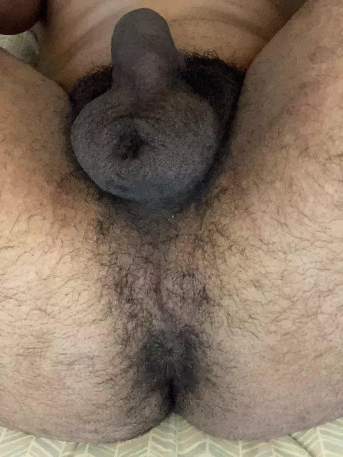 You like my hairy taint? 🥺👅 by BiTwink7769