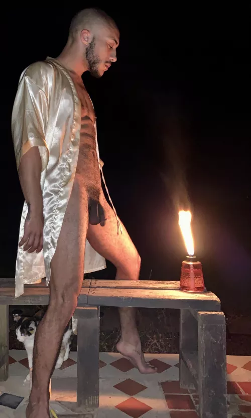 ..you lived your life like, a candle in the wind by Beginning-Coat-2178