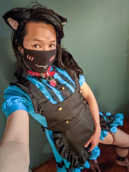 You need a kitty maid right? by ukekitty