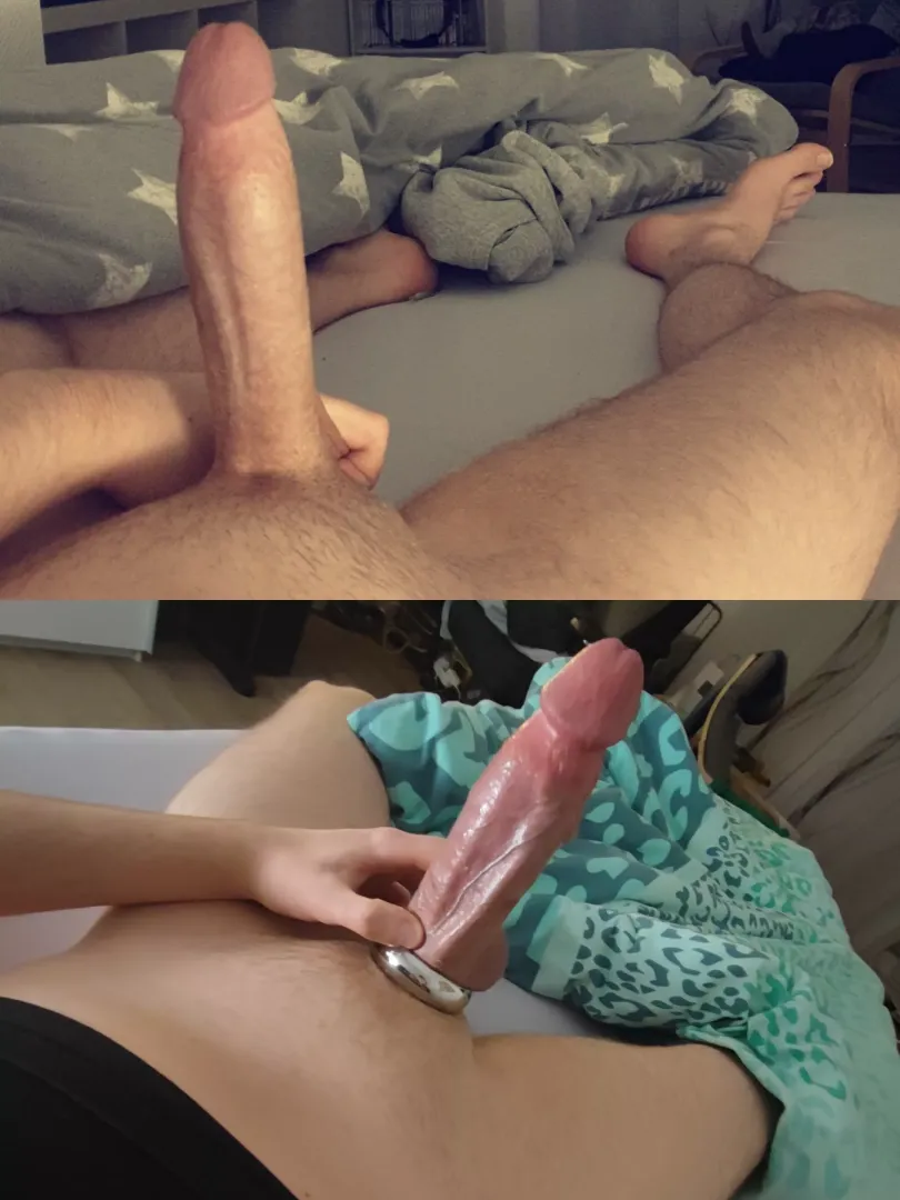You prefer this cut German cock with or without the ring? 👀 posted by TheShibEffect