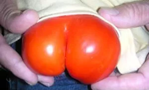 You say Tomato, I sayrTomatits posted by Small_Guess_2016