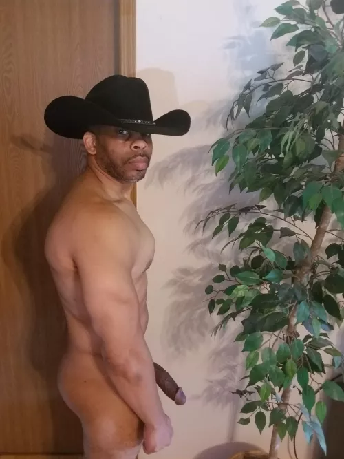 You wanna ride this Bull? by RepresentativeIll862