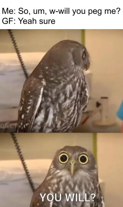 You will?? posted by myweirdsubaccount