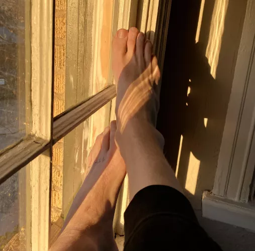 You wouldn’t even notice the sun was setting when these are out. by BlondeBoyFoot