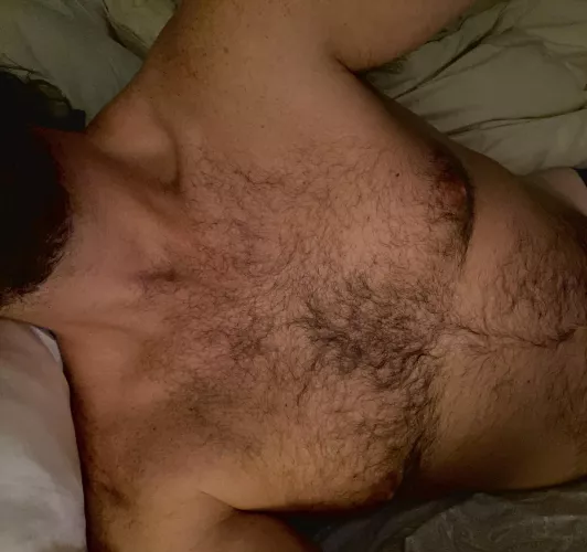 You’d have to talk me into shaving by ConfidentRadish2113