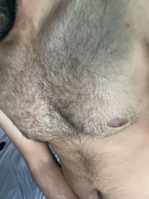Young hairy chest by dudedck01