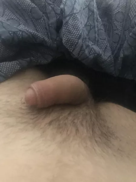 Young softie by Siseneri