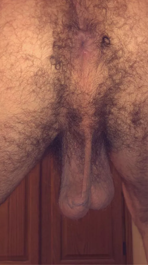 Your cocks view 👀 by gmu703