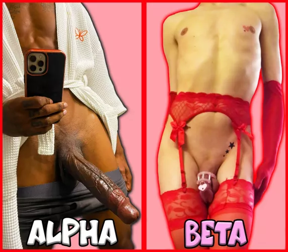 Your destiny by vt9699