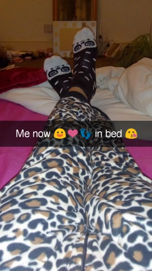 Your Feminine Alpha ♀️🐆♂️🦁💅👣🔺⚡❤️ by StrafeKing1991