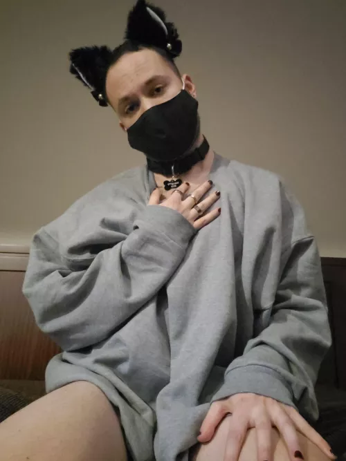 Your internet puppybf needs cuddles and attention 🥺🥺🐶. Only the turkey got stuffed yesterday 😪 by softsoftpup