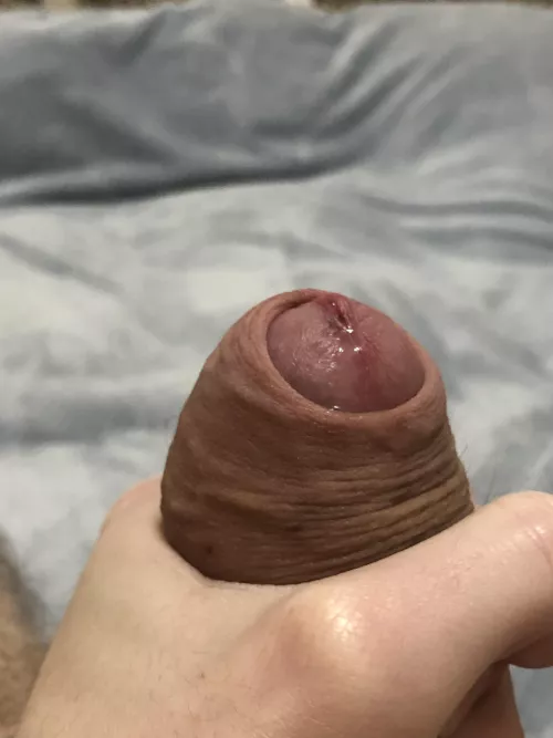 Your meal is served by lemmeworshipp