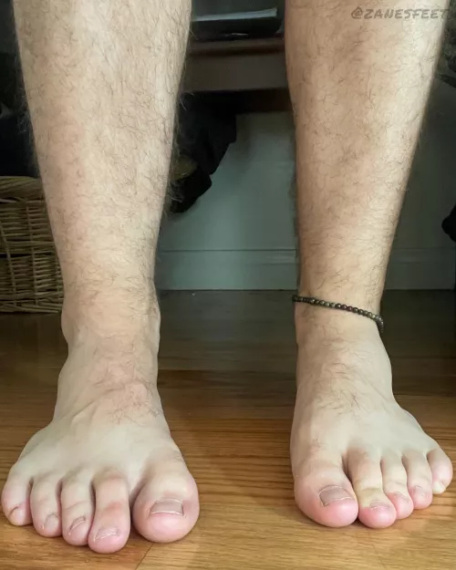 Your new phone wallpaper by Zanes-Feet