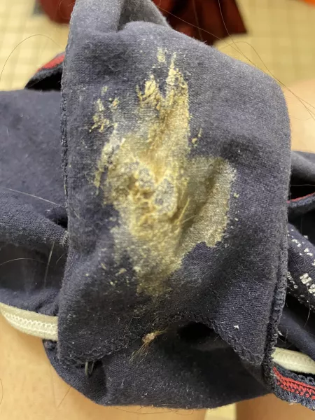 Your Professor’s Panties by bugsnchickens