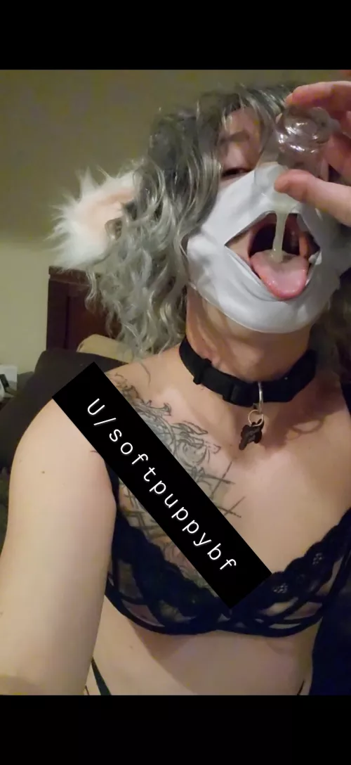 your puppy wants head pats and thicc creamy snax 🥺🐶🖤 by softsoftpup