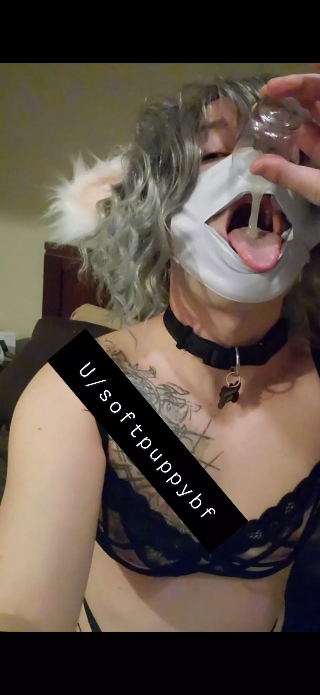 your puppy wants head pats and thicc creamy snax 🥺🐶🖤 posted by softsoftpup