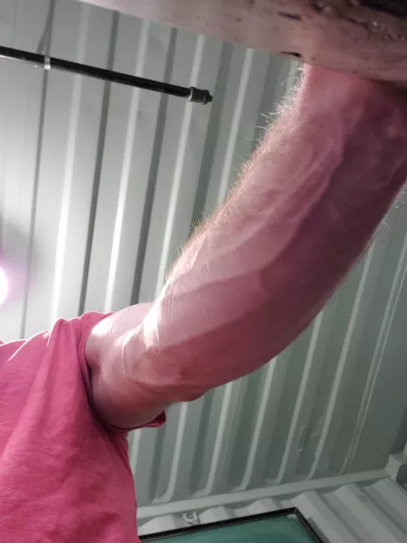 Your view looking up at me... by StickyStinkBug